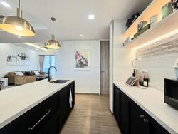 The Chuan (D19), Condominium #443479051